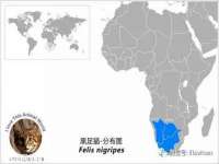 河北流量王商贸有限公司