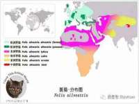 河北流量王商贸有限公司