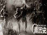 河北流量王商贸有限公司