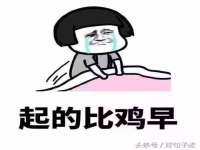 河北流量王商贸有限公司