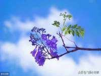 河北流量王商贸有限公司