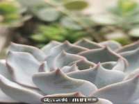 河北流量王商贸有限公司