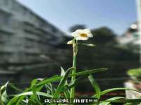 河北流量王商贸有限公司