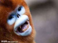 河北流量王商贸有限公司