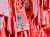 河北流量王商贸有限公司
