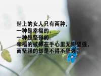 河北流量王商贸有限公司