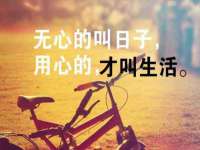 河北流量王商贸有限公司