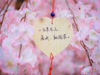 河北流量王商贸有限公司