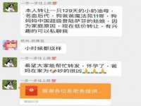 河北流量王商贸有限公司