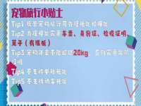 河北流量王商贸有限公司