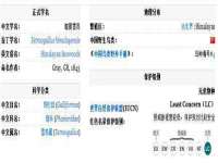 河北流量王商贸有限公司