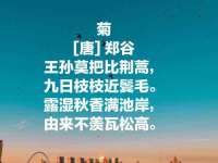 河北流量王商贸有限公司