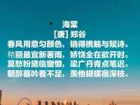 河北流量王商贸有限公司