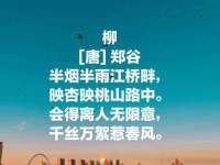 河北流量王商贸有限公司