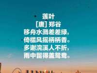 河北流量王商贸有限公司