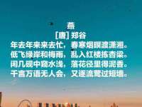 河北流量王商贸有限公司