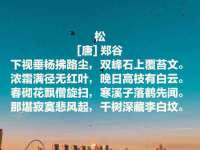 河北流量王商贸有限公司