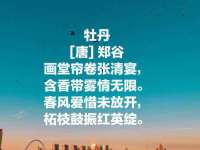 河北流量王商贸有限公司