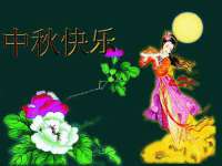 河北流量王商贸有限公司