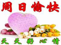 河北流量王商贸有限公司