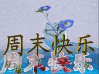 河北流量王商贸有限公司