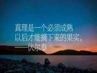 河北流量王商贸有限公司