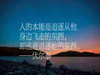 河北流量王商贸有限公司
