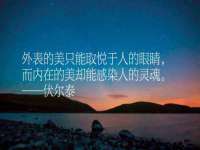 河北流量王商贸有限公司