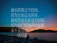 河北流量王商贸有限公司