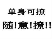 河北流量王商贸有限公司