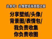 河北流量王商贸有限公司