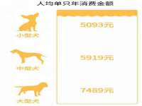 河北流量王商贸有限公司