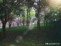河北流量王商贸有限公司