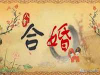 河北流量王商贸有限公司