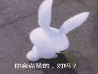 河北流量王商贸有限公司