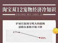 河北流量王商贸有限公司
