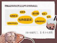 河北流量王商贸有限公司
