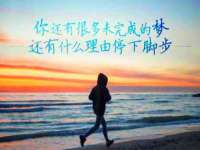 河北流量王商贸有限公司