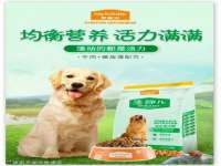 河北流量王商贸有限公司