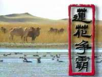 河北流量王商贸有限公司