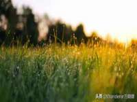 河北流量王商贸有限公司