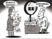 河北流量王商贸有限公司