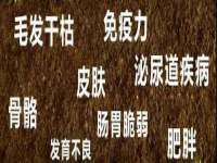 河北流量王商贸有限公司
