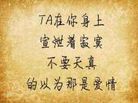 河北流量王商贸有限公司