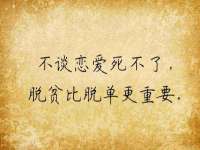河北流量王商贸有限公司