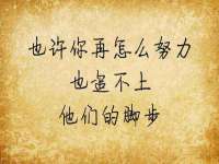 河北流量王商贸有限公司