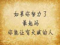 河北流量王商贸有限公司
