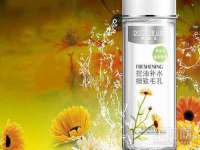 河北流量王商贸有限公司
