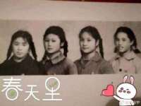 河北流量王商贸有限公司