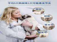 河北流量王商贸有限公司